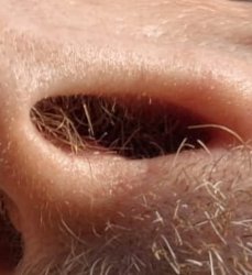 Nose hair Meme Template