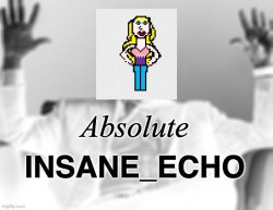 Absolute Insane_Echo Meme Template