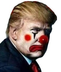 Trump clown Meme Template