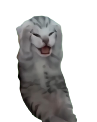 Kitten holding head Meme Template