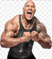 The rock Meme Template