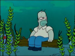 Homer Simpson Underwater Meme Template