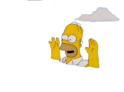 Homer Simpson Meme Template