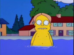 Martin Prince Pool-Mobile Meme Template