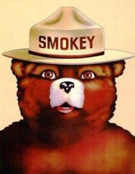 smokey the bear Meme Template