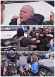 Ice protester Meme Template