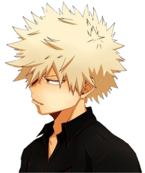 bakugo Meme Template