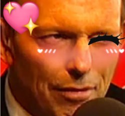 Kawaii Tony Abbott Wink Meme Template