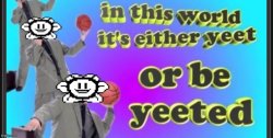 yeet or be yeeted (credit to @paintedfish) Meme Template