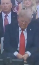 Sad Taco Meme Template