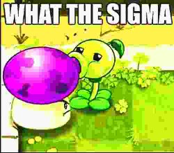 What The Sigma Is X Meme Template