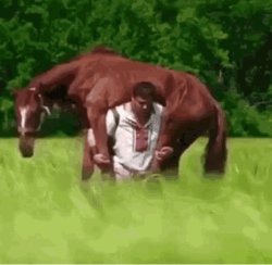 Man carry horse Meme Template