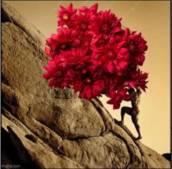 @salve_rebirth Sisyphus Meme Template