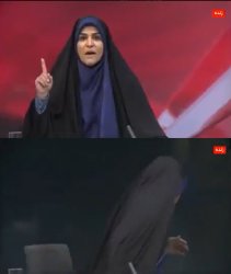 iranian reporter Meme Template