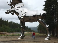 big moose of Norway Meme Template