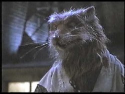 Splinter Ooze Meme Template