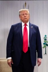 Donald Trump grumpy, full Depends, sharted Meme Template