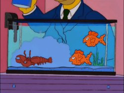 Simpson lobster aquarius Meme Template