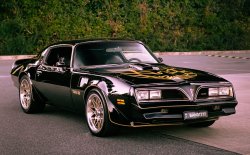 Trans Am Meme Template