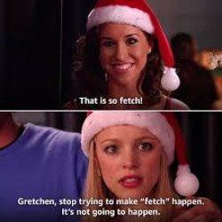 Mean Girls Fetch Meme Template
