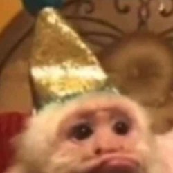 party monkey Meme Template