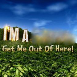 I’m a Celebrity v2 Meme Template