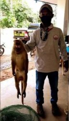 Man holding a monkey by neck Meme Template