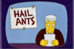 Simpsons hail ants Meme Template