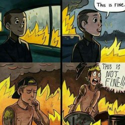 this is fine twenty one pilots Meme Template