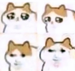 dragoncat Meme Template