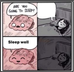 Happy sleeping girl Meme Template