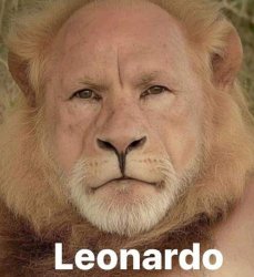 Leonardo Meme Template