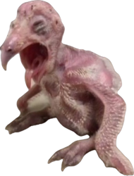 Boils chicken Meme Template