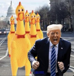 Trump chickens out so often, the other chickens get pissed off. Meme Template