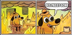 Des Passt Scho Meme Template