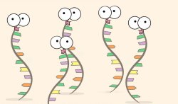 rna doodle Meme Template