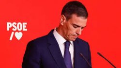 Pedro Sanchez Meme Template