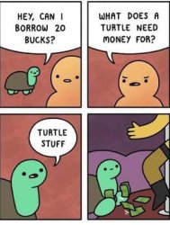turtle stuff Meme Template