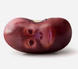 Primate Meme Template