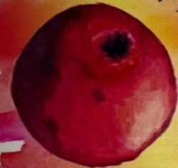 Fruit Fruit Meme Template