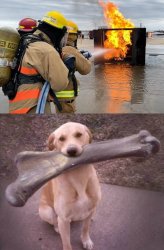 How it felt, how it went Meme Template