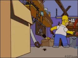 Homer Spiders Meme Template