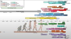 Human history timeline Meme Template