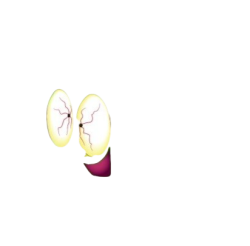 FLASHLIGHTFACE Meme Template