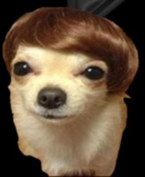 Sly dog Meme Template