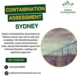 Contamination Assessment Sydney Meme Template