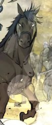 Horse Meme Template