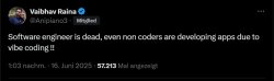 silly anti vibe coding tweet Meme Template