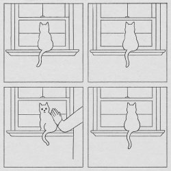 Depressed cat in front of window Meme Template