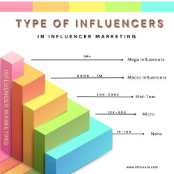 Type of Influencers Meme Template